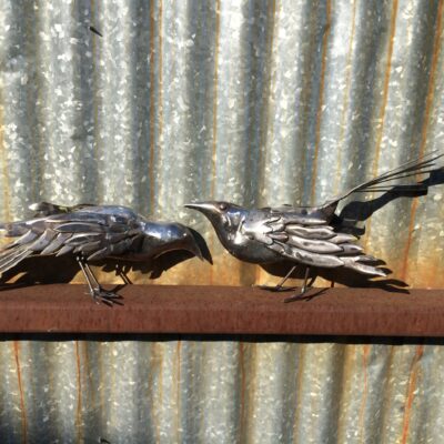 Birds & Bugs
